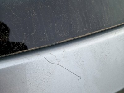 Skoda Karoq Style 1.5 TSI DSG (150 KM)